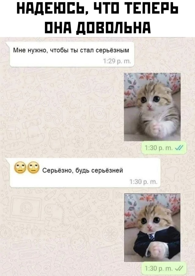 Баянисто-небаянистый юмор 15.05.21