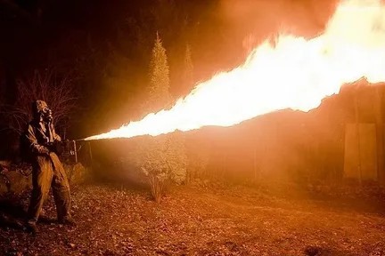 Житель Австралии обнаружил гигантское насекомое