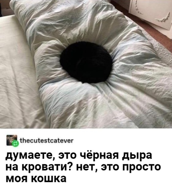 Картинки и мемы для настроения 03.11.2021