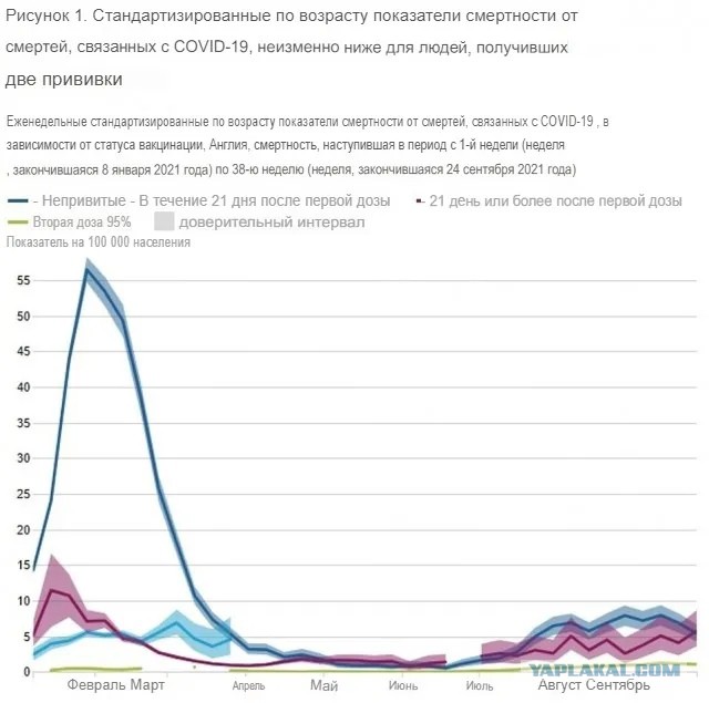 Пандемия. Коронавирус. Россия и мир. Последняя информация. Часть 26