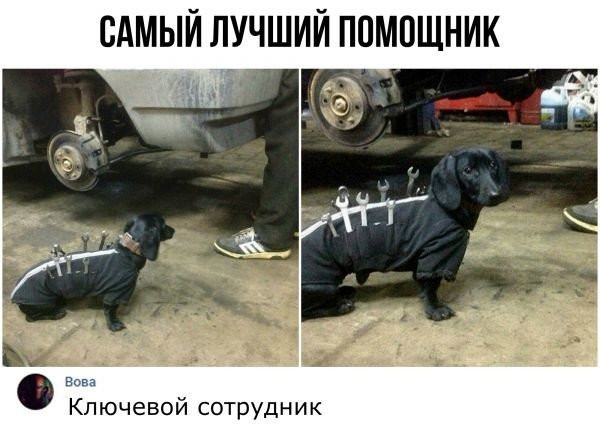 Всякие разные картинки 19.11.2021