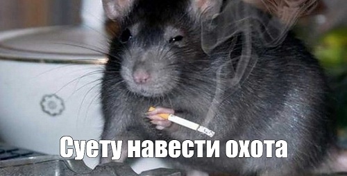 Для тех, кто плюсует Кочета