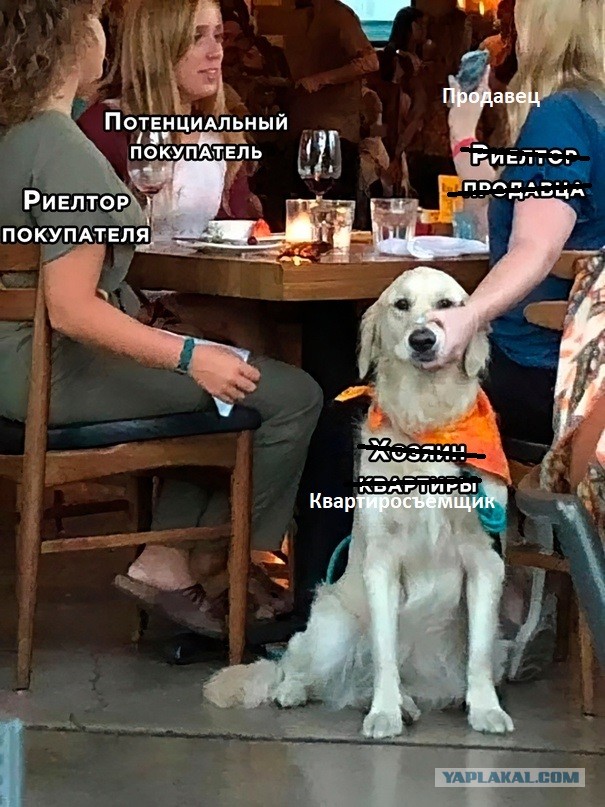 Весёлый полтишок 03.06.22