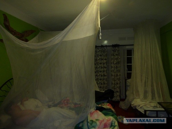 AFRICA - (Эфиопия,Кения,Танзация) 4-16 ноября 2011