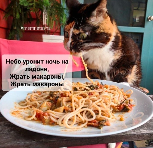 Немного картинок для настроения - 137
