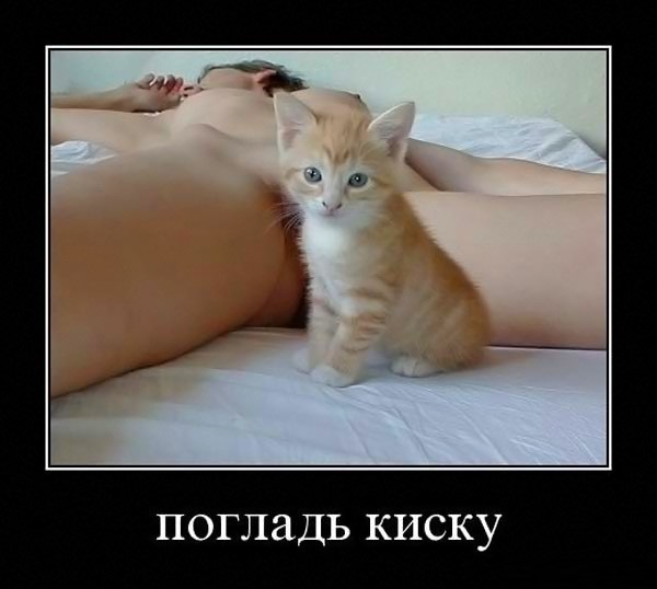 Ржачная перепевка Рамштайновской Пусси))