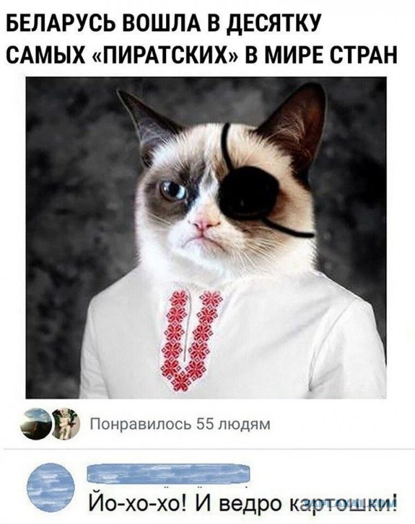 В Беларуси узаконили пиратство