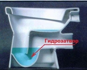 Клиент смыл дорогое кольцо в унитаз