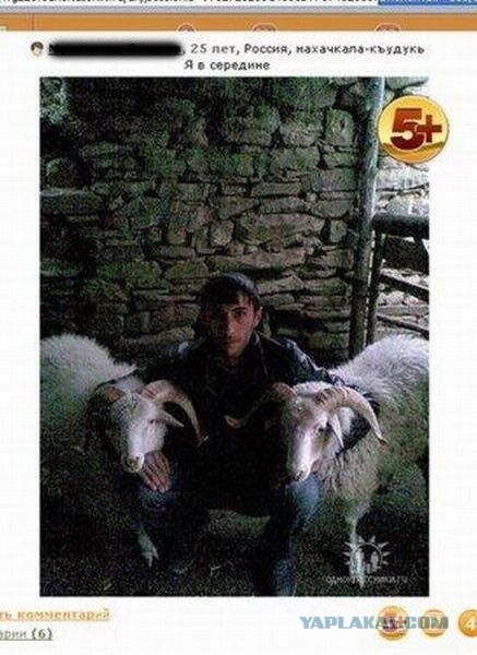 Афганский овцеёб...