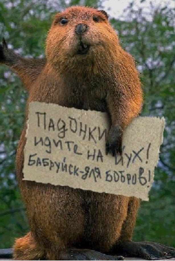 Мимо этой истории никто не сможет пройти мимо