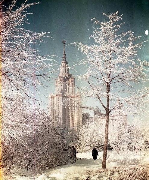 Москва зимняя и новогодняя. Часть первая.