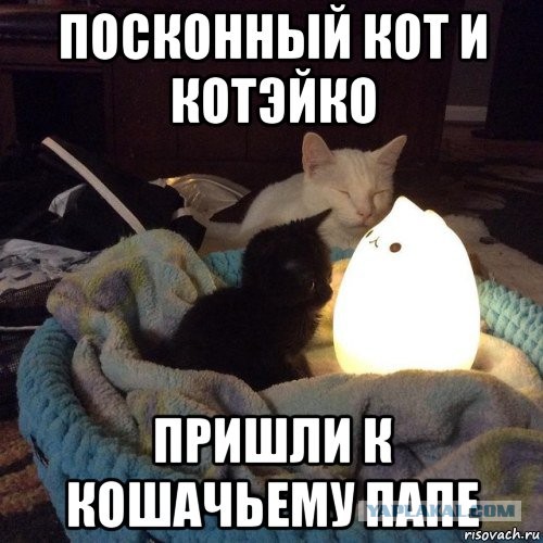 Что такое женская "ловушка заднего кармана", в которую постоянно попадаются многие наивные мужчины?