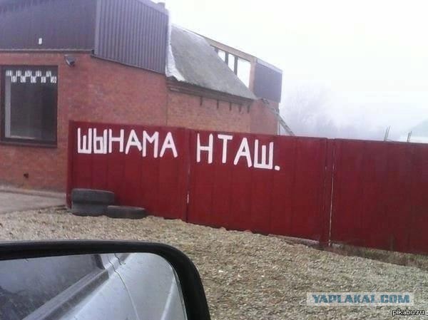 Перлы 30.01.24