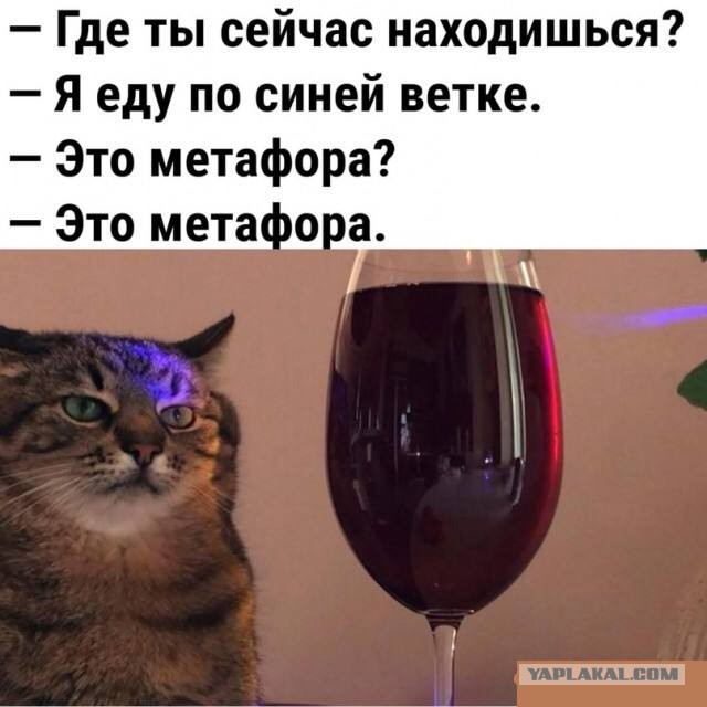 Алкопост