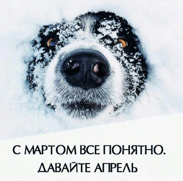 ТРРРРРидцать тРРРРРи от 22 маРРРРта!