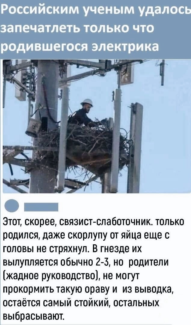 Завалялось тут случайно немного забавных картинок
