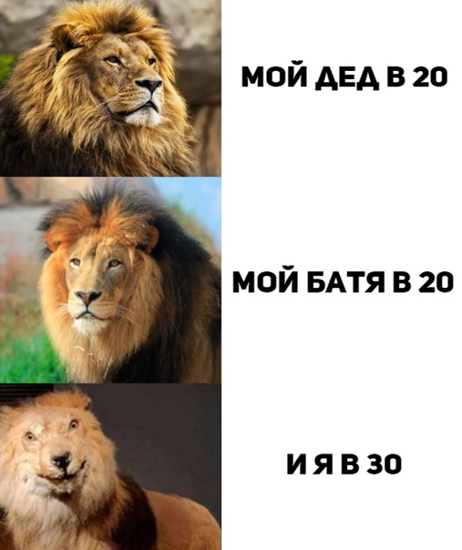 Возраст людей на фото 19 века.