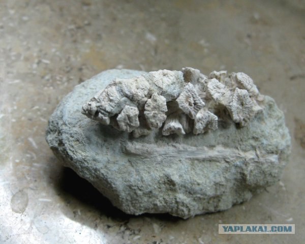 История мира у нас под ногами