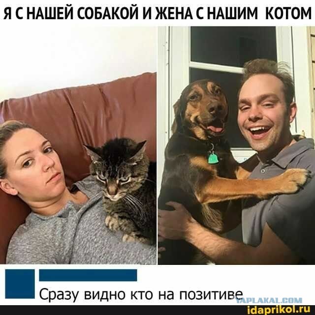 Следственный эксперимент, установление виновных.