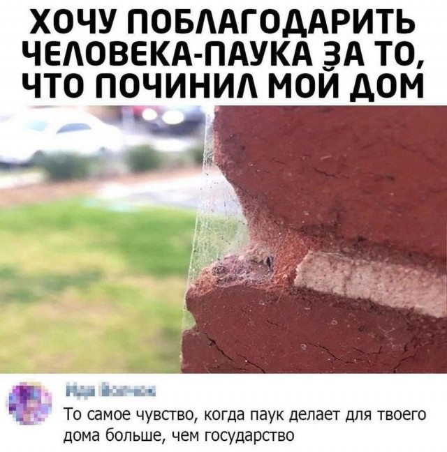 Так себе картинки 28.02.25