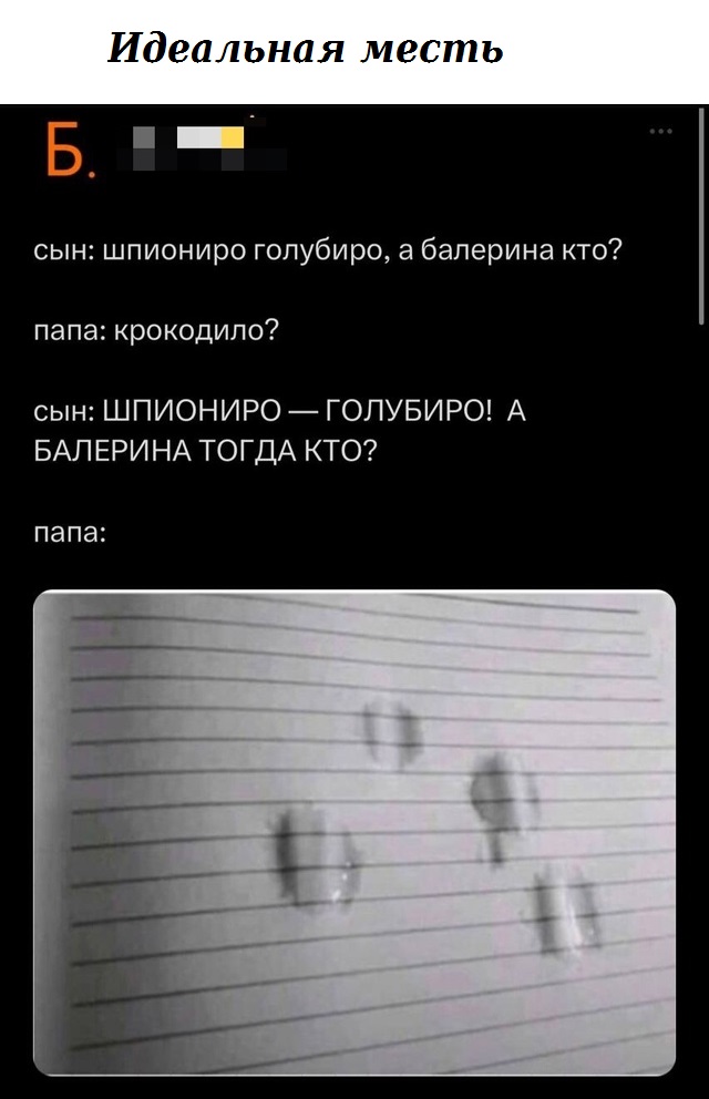 Весёлый полтишок 06.06.25