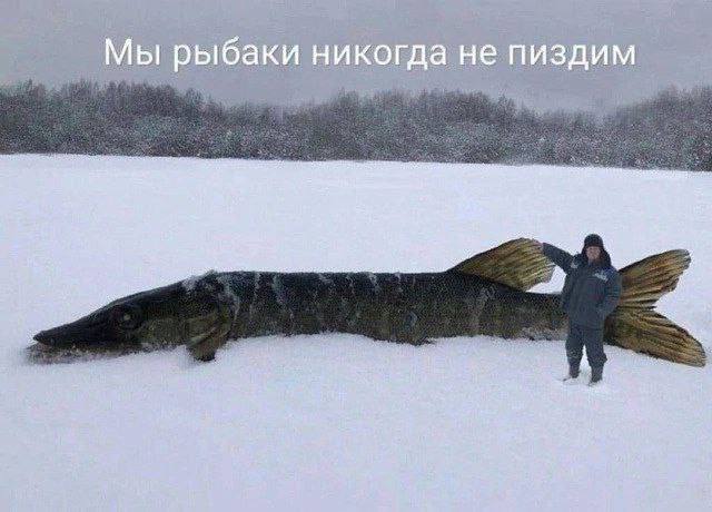 Объявлено о первом уничтожении новейшей ракеты ВСУ на скорости в 600 километров в час