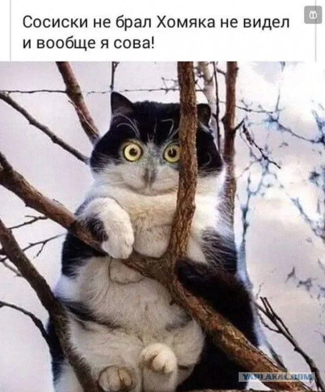 Наскрёб с древней флешки картинки.