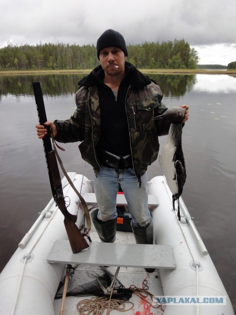 Подмышкины волосы (и не только) Леди Гаги офигели от такой новости