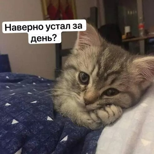 Котямбосы