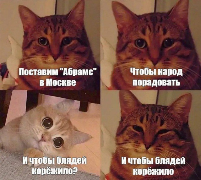 Котямбосы