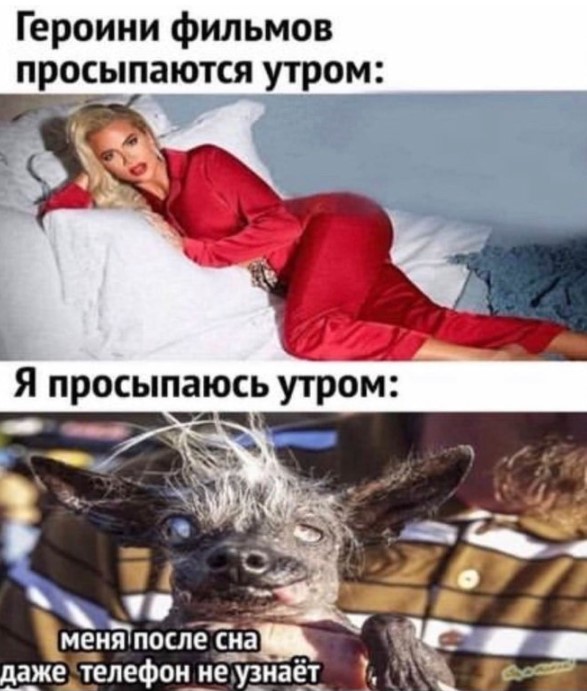 Картинки для деградации 169 (разной степени свежести)