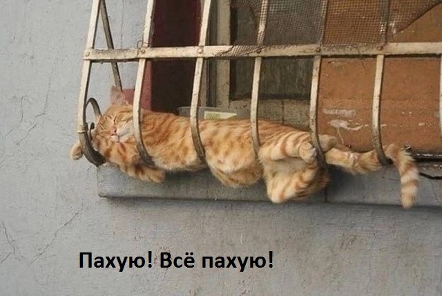 Картиночки, баянчики 07 апреля