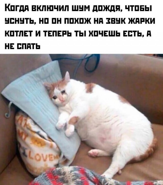 Веселые картинки в пятницу (10.07)