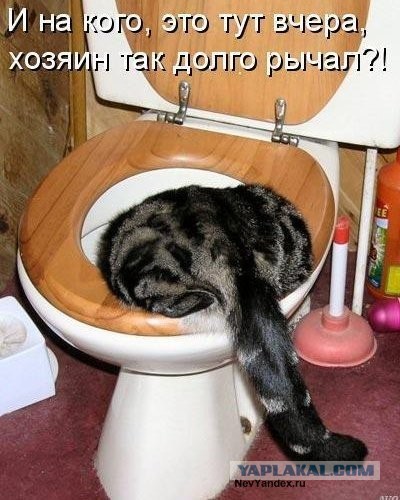 Попался!