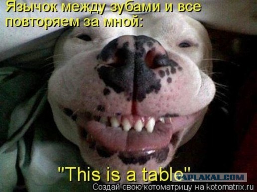 7 неизменных учительских реплик