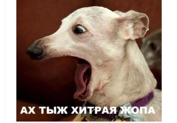 Неплохо смотрится...
