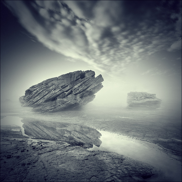 Градации серого (9 фот)