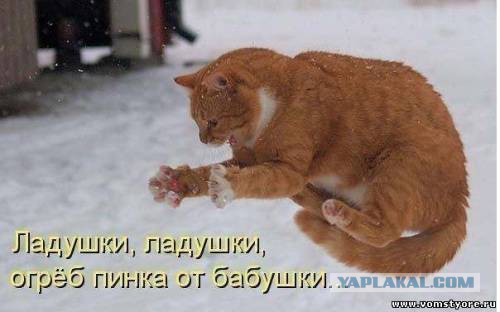 Позитивные картинки