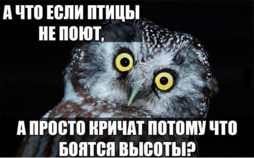 Картинки