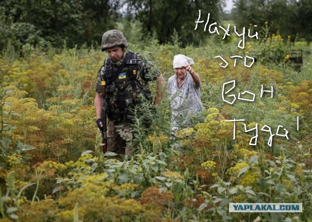 Полиция ДНР