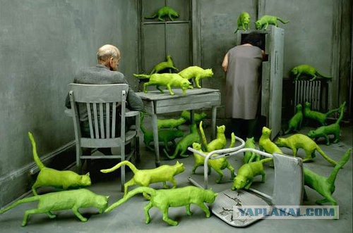 Плюсомет со шпалометом