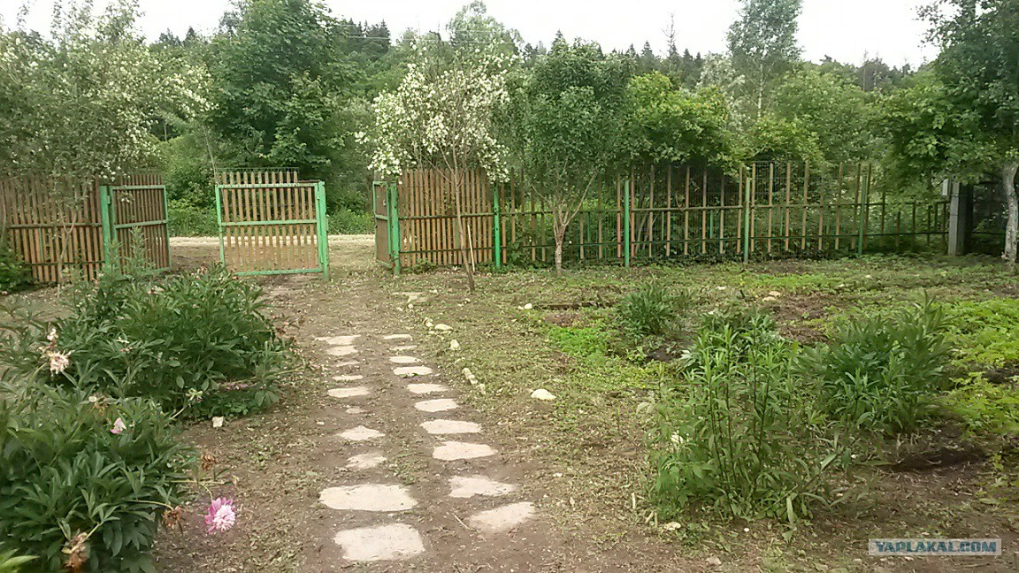 Продается дача в Московской области - ЯПлакалъ