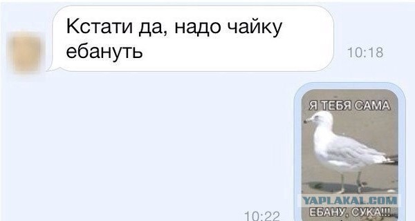 Игра слов или приступ наркомана