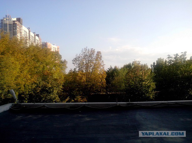 Сибирь матушка! а что у вас за окном?