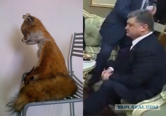 Минские переговоры нормандской четверки