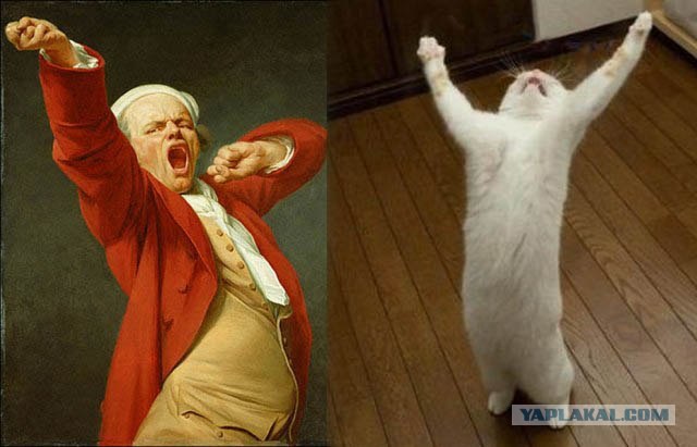 Коты и искусство