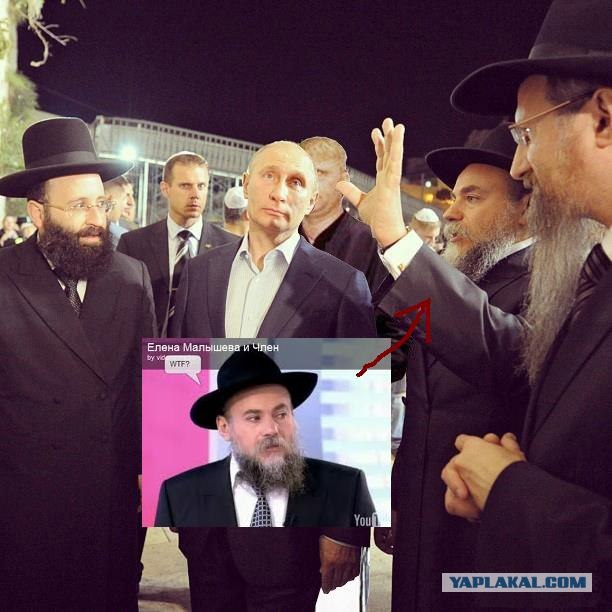 Свой среди своих