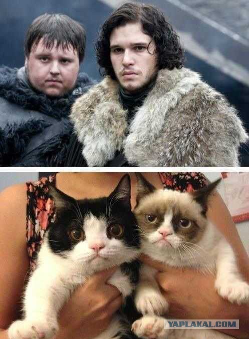 Старые и новые фото звезд сериала «Игра престолов»