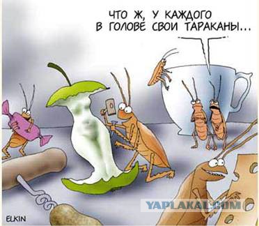 Где все тараканы?