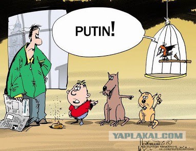 перестрелка в Мукачево дело рук... Путина!